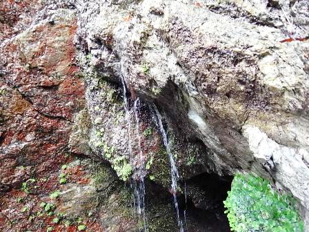 岩清水（天然のミネラルウオーター）