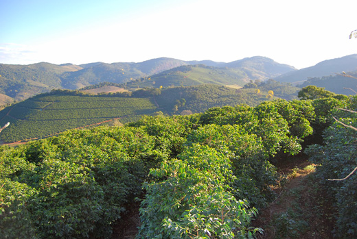 ブラジルはミナスジェライス州、カルモデミナス