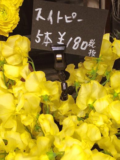 南蛮屋ガーデン倶楽部のお花