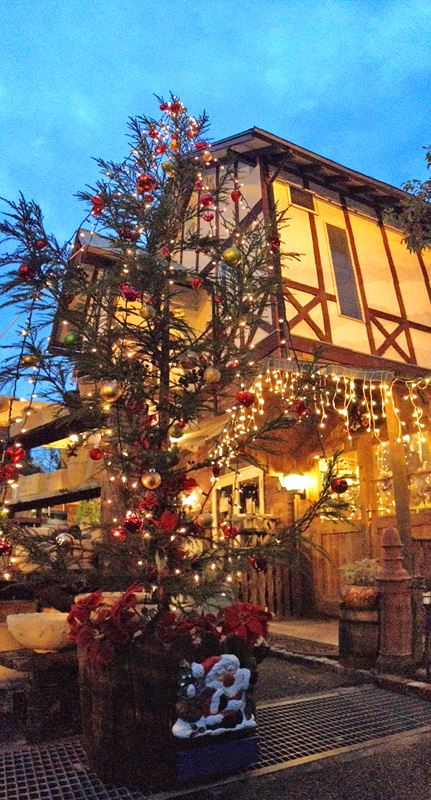 南蛮屋ガーデンのクリスマスの飾り付け