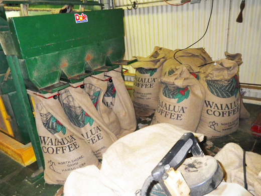 ドールのコーヒー生産