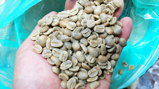 ハワイオアフ島ワイアルア農園ハワイコーヒー生豆
